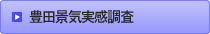 豊田景気実感調査